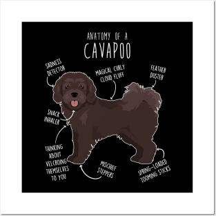 Chocolate Cavapoo Dog Anatomy Posters and Art